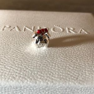 Silver piggy bank charm.!